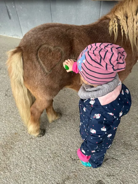 Ein kleines Kind bürstet das Fell eines Ponys.