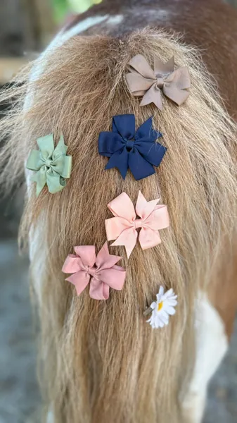 Bunte Stoffblumen schmücken die helle Mähne eines Ponys.
