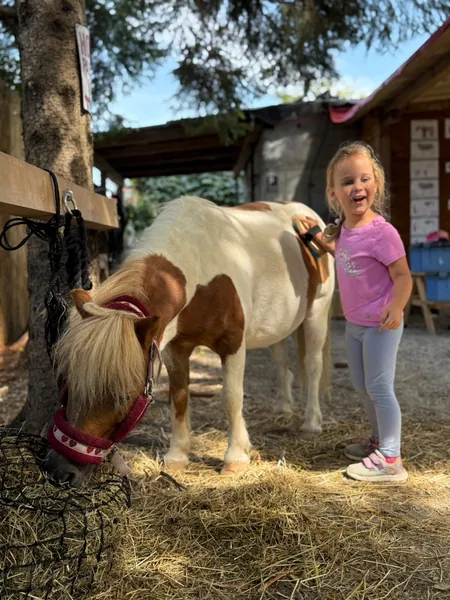 Ein Kind steht neben einem kleinen braun-weißen Pony beim Heu.