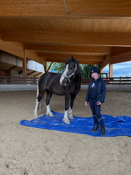 Ein Kind steht mit einem dunklen Pony auf einer blauen Plane in der Reithalle.
