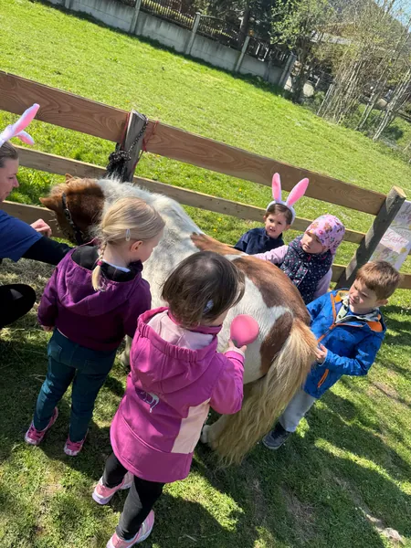 Kinder putzen gemeinsam ein kleines Pony auf einer grünen Wiese.