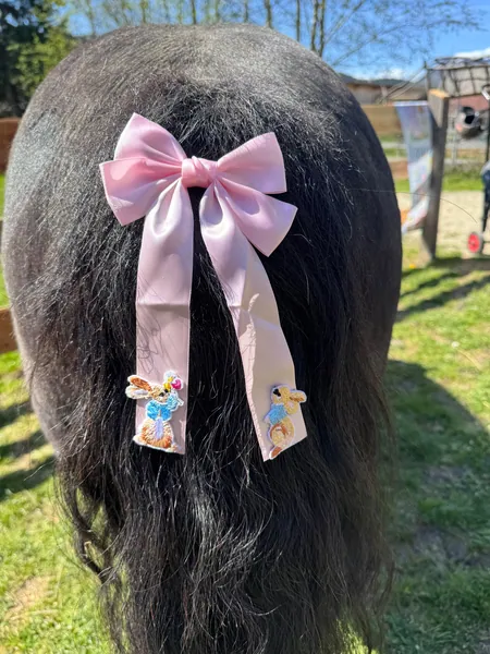 Eine rosa Schleife schmückt den Schweif eines dunklen Ponys.