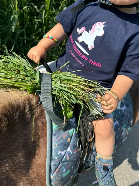Ein Kind im Pony-Academy-T-Shirt hält einen Strauß Gras beim Pony.
